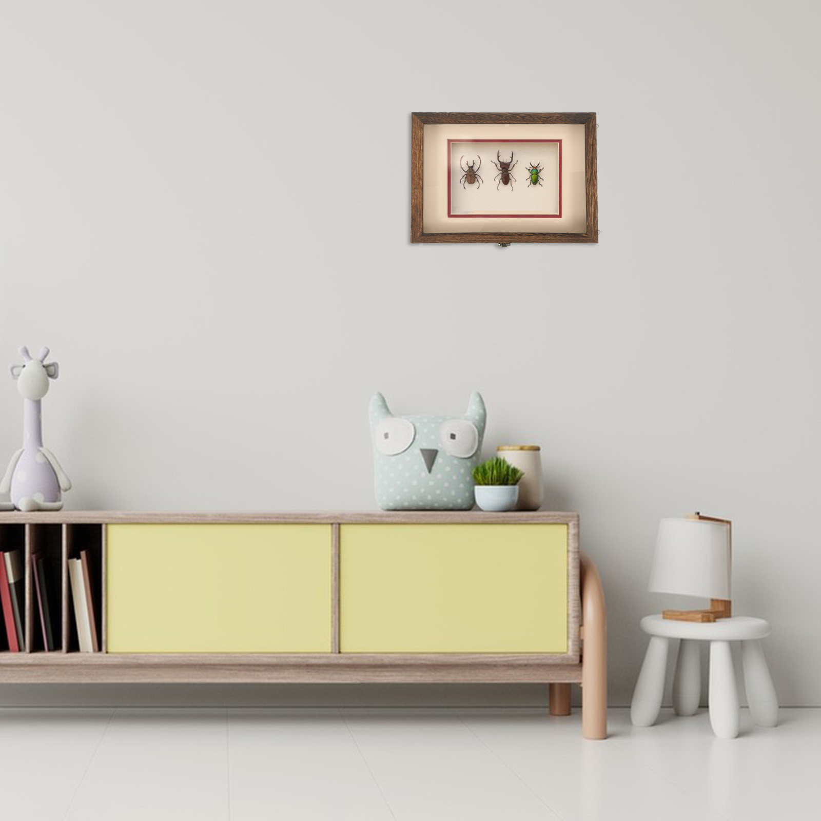 Frame Display Wood - Wood Insect Display Case Clear Acrylic
