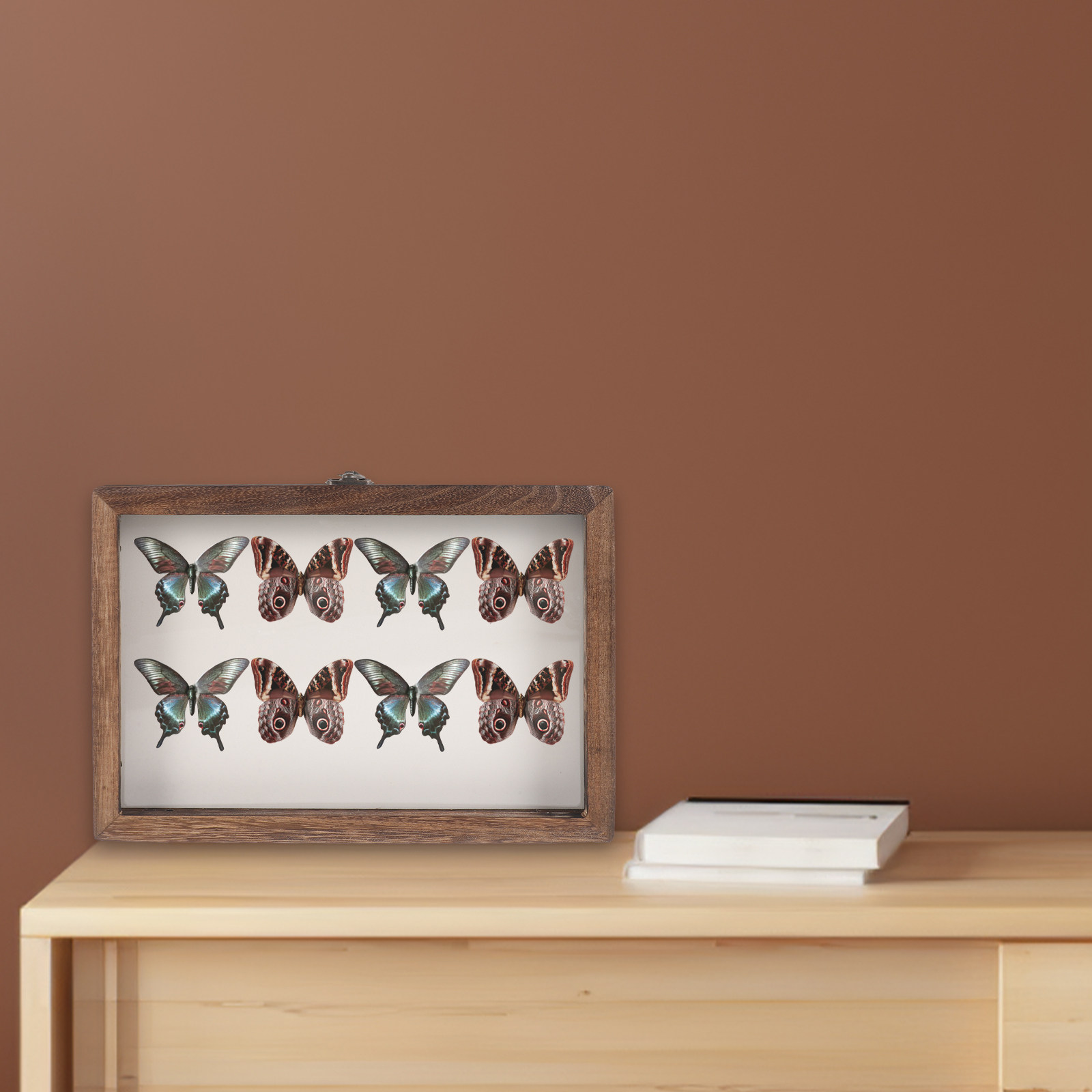 Wood Insect Display Case Clear - Frame Display Wood ulasan dan harga