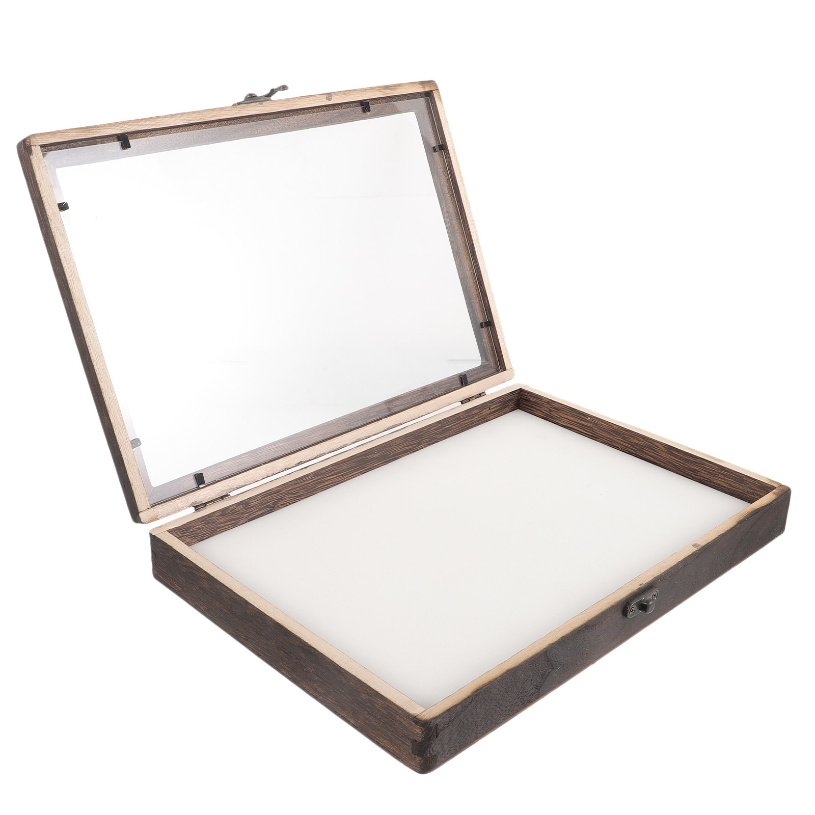 Wood Insect Display Case Clear - Frame Display Wood ulasan dan harga