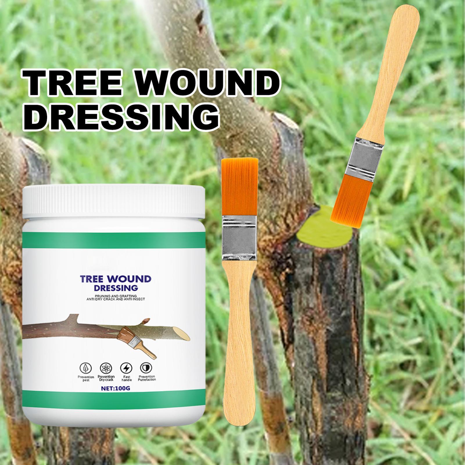 Pruning Sealer 100g Protective - Embroidery Art Painting ulasan dan harga