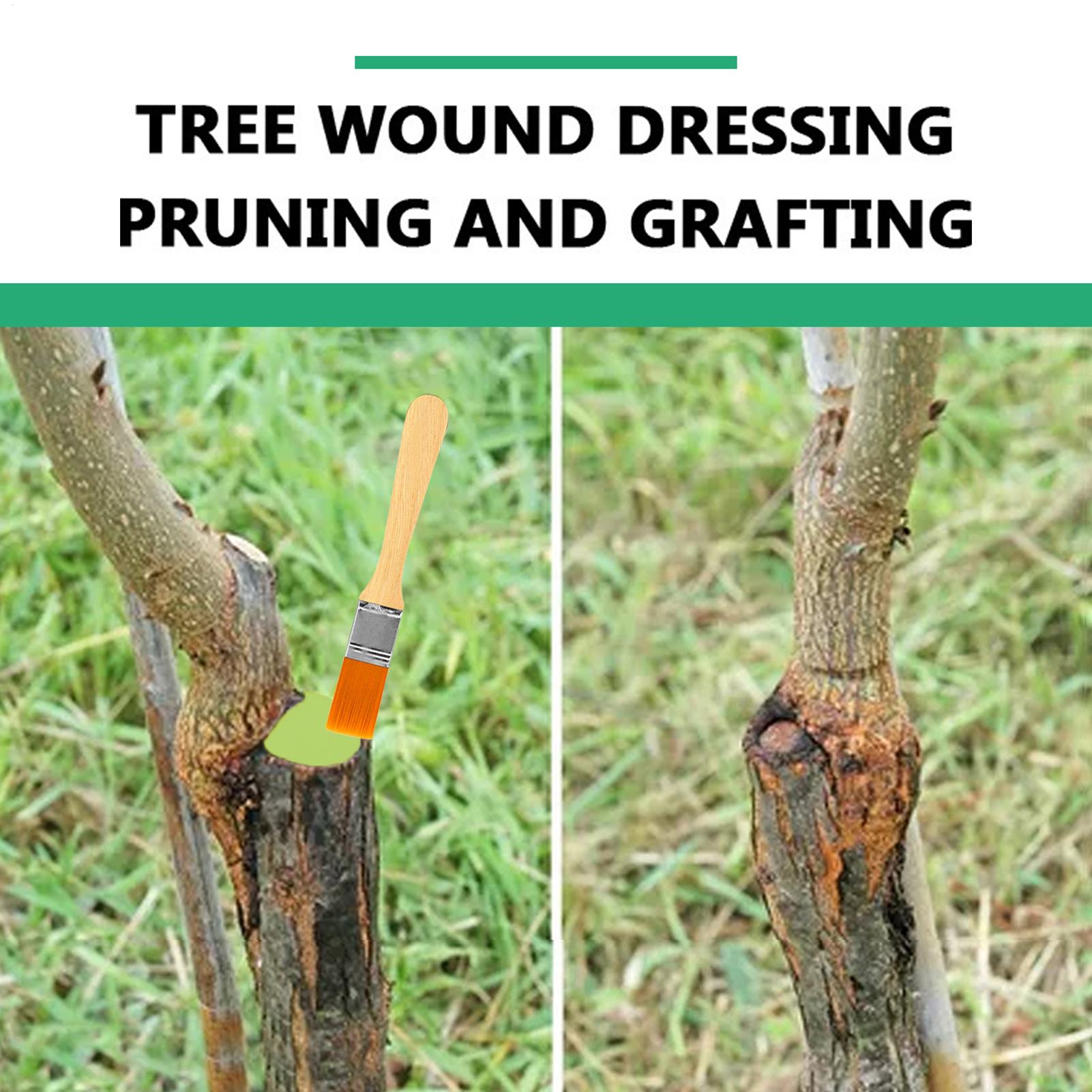 Pruning Sealer 100g Protective - Embroidery Art Painting ulasan dan harga