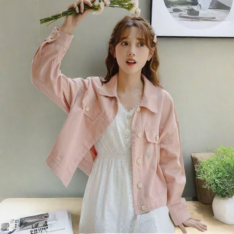 2026 New Female Student Shorts - Embroidery Jeans ulasan dan harga